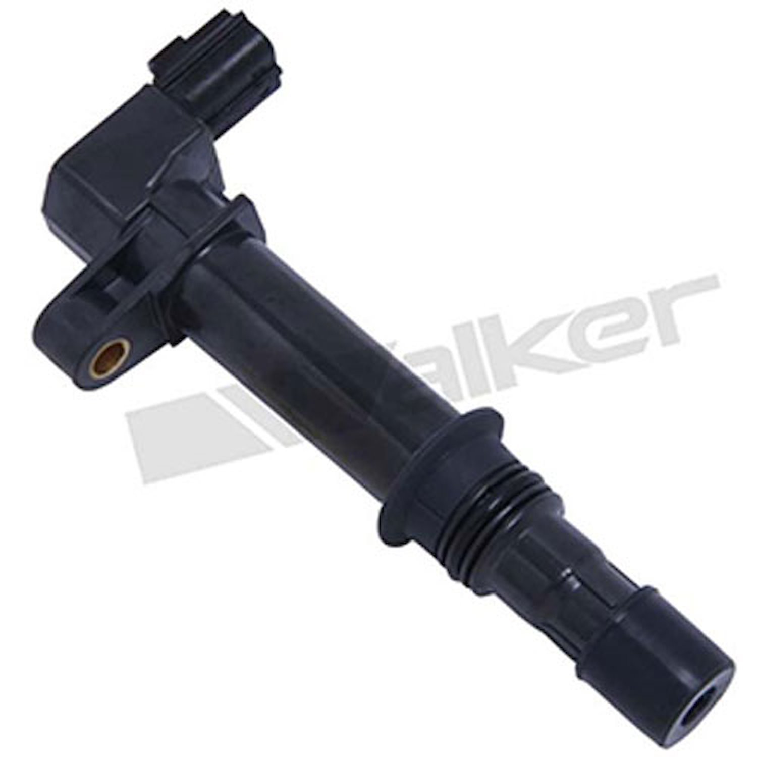 Ignition Coil On Plug