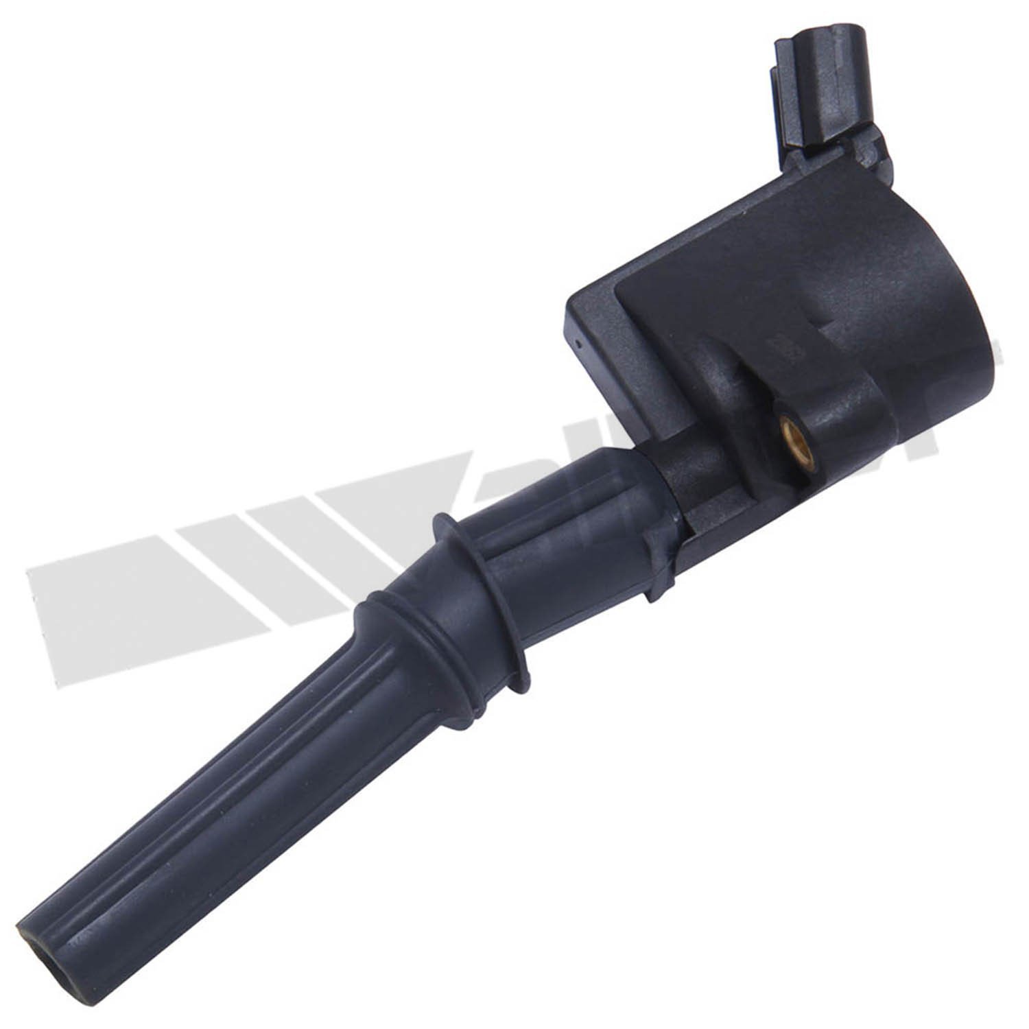 Ignition Coil On Plug