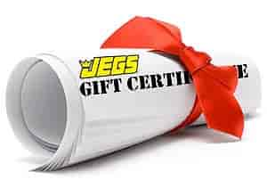 $300 GIFT CERTIFICATE